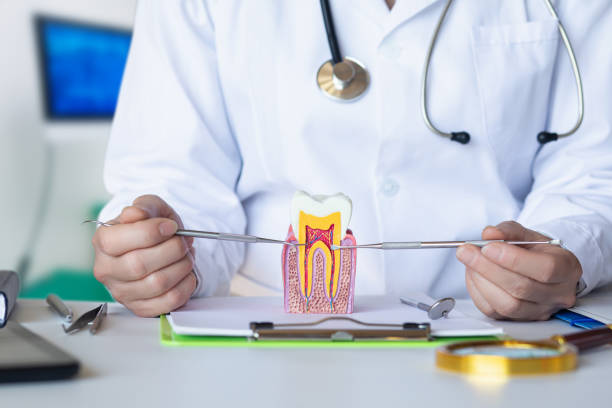 Best Emergency Root Canal Treatment in Maitland, FL
